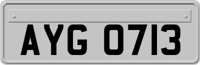 AYG0713