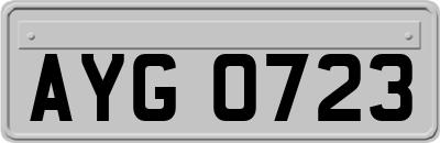 AYG0723