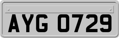 AYG0729