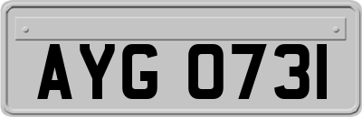 AYG0731