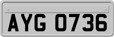 AYG0736