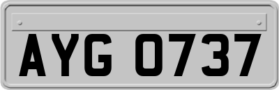 AYG0737