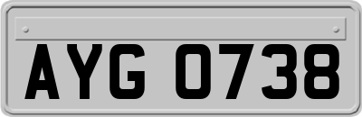 AYG0738