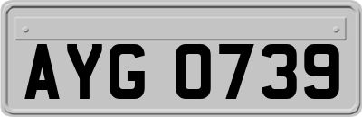 AYG0739