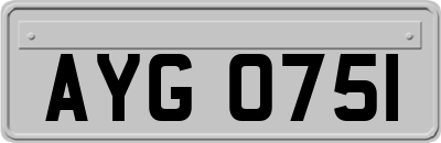 AYG0751