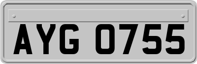AYG0755