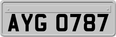 AYG0787