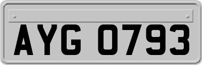 AYG0793