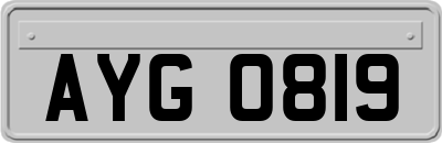 AYG0819