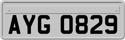 AYG0829
