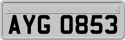 AYG0853