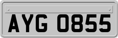 AYG0855