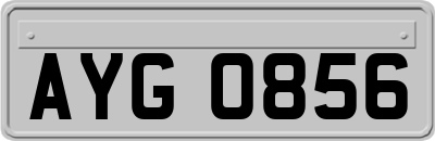 AYG0856