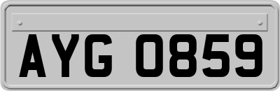 AYG0859