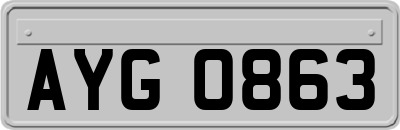AYG0863