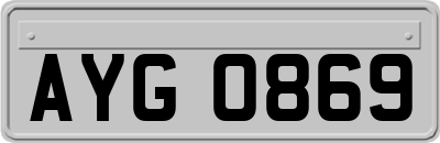 AYG0869