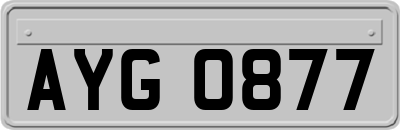 AYG0877