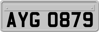 AYG0879