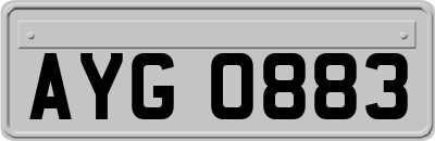 AYG0883