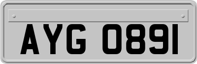 AYG0891