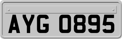 AYG0895