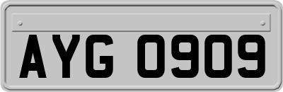 AYG0909