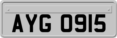 AYG0915