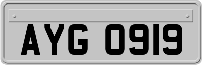 AYG0919