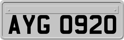 AYG0920