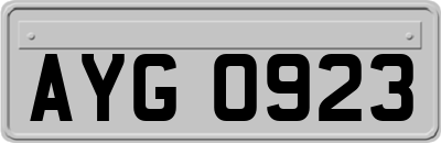 AYG0923