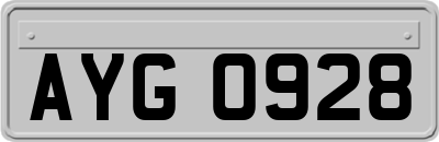 AYG0928