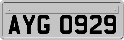 AYG0929