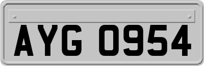 AYG0954