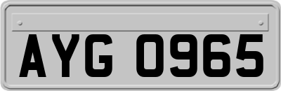 AYG0965