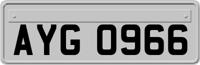 AYG0966