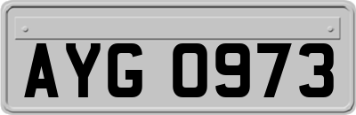 AYG0973