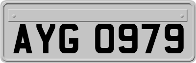 AYG0979