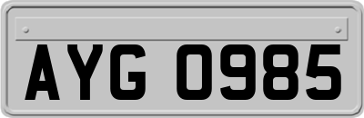 AYG0985