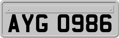 AYG0986