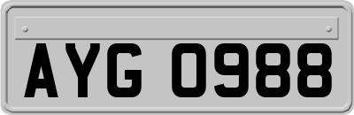 AYG0988