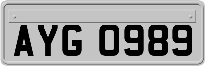 AYG0989
