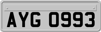 AYG0993