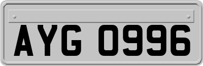 AYG0996