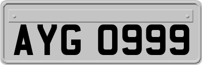 AYG0999
