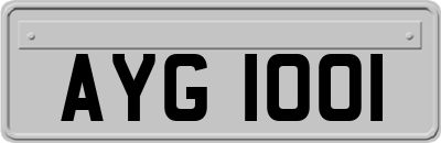 AYG1001