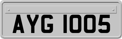 AYG1005