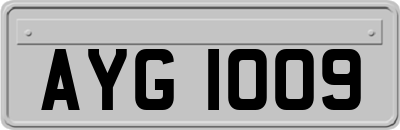 AYG1009