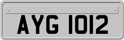 AYG1012