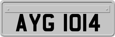 AYG1014