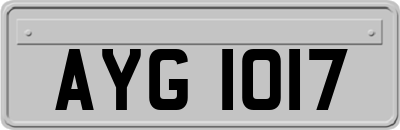 AYG1017